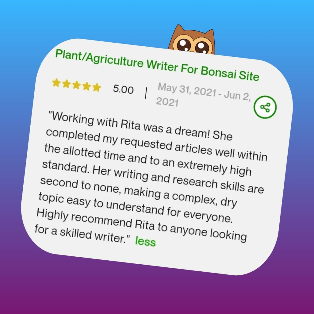 Client review from upwork