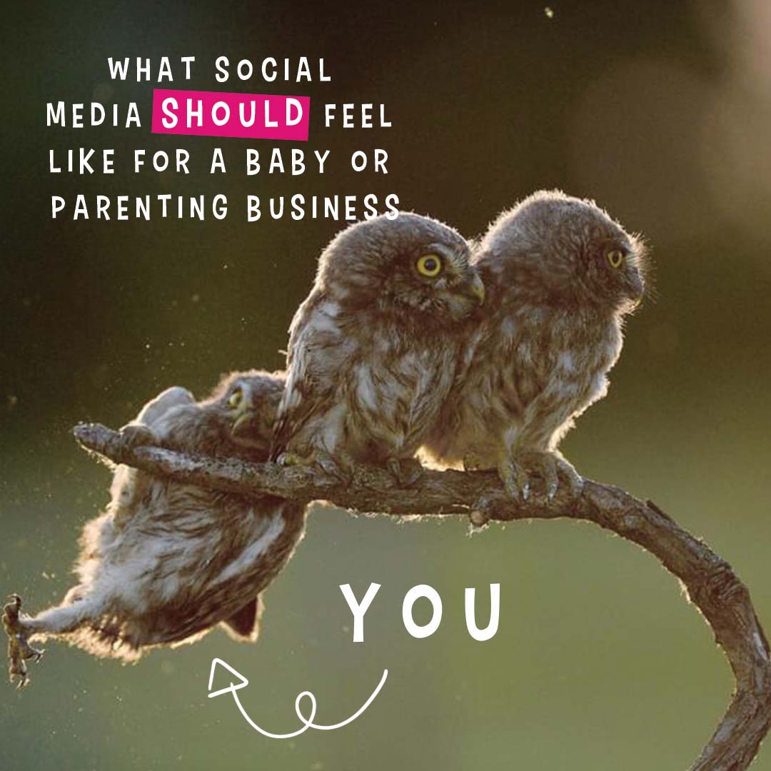 Owl representing a baby & parenting professional falling off a stick while the rest sit unbothered (competitors).